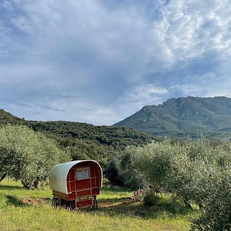 Le Camping De Cucugnan Hotel Luaran gambar